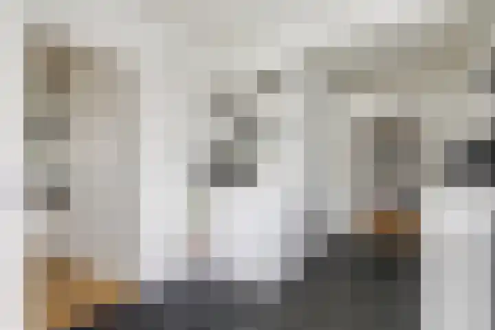 Watervliet 7 Krabbendijke thumbnail 15