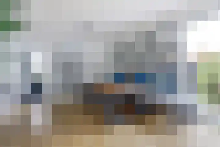 Watervliet 7 Krabbendijke thumbnail 18