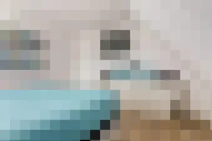 Watervliet 7 Krabbendijke thumbnail 21