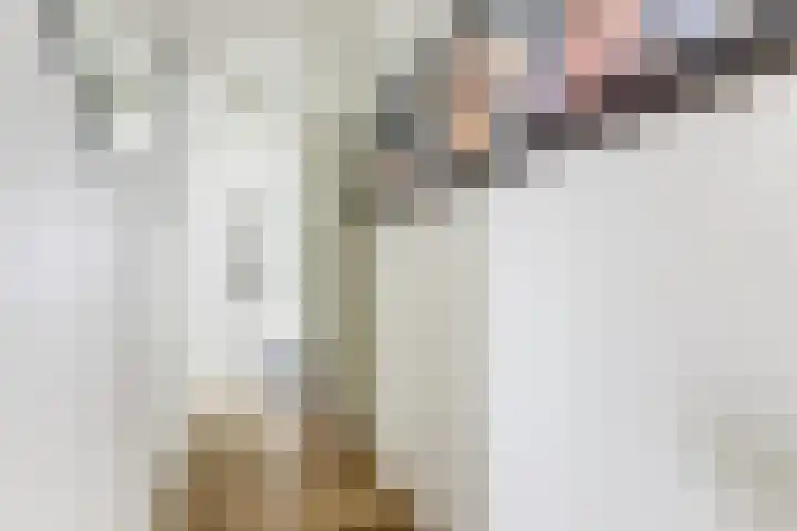 Watervliet 7 Krabbendijke thumbnail 29