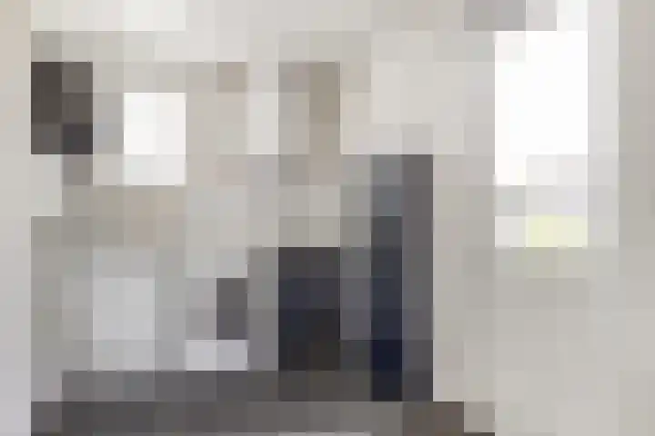 Watervliet 7 Krabbendijke thumbnail 34