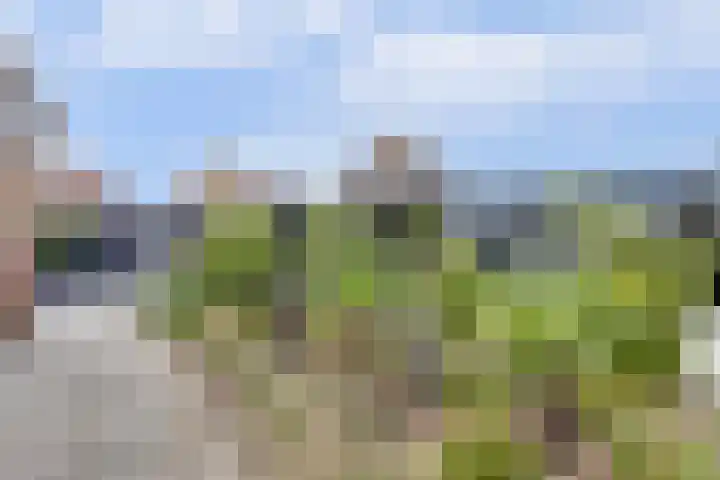 Watervliet 7 Krabbendijke thumbnail 46