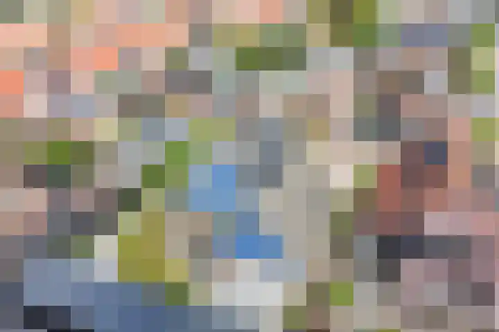 Watervliet 7 Krabbendijke thumbnail 47