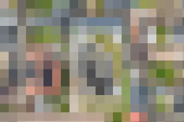 Watervliet 7 Krabbendijke thumbnail 50