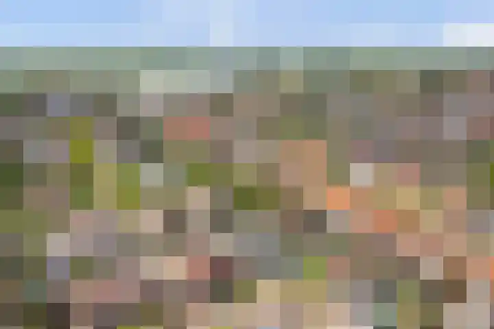 Watervliet 7 Krabbendijke thumbnail 52