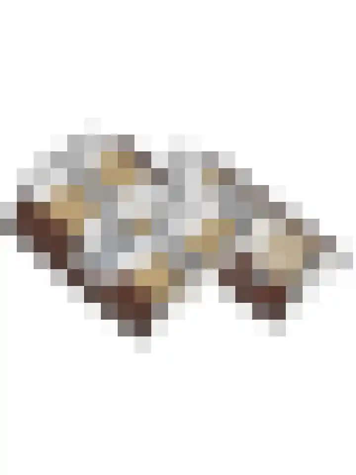Watervliet 7 Krabbendijke thumbnail 62