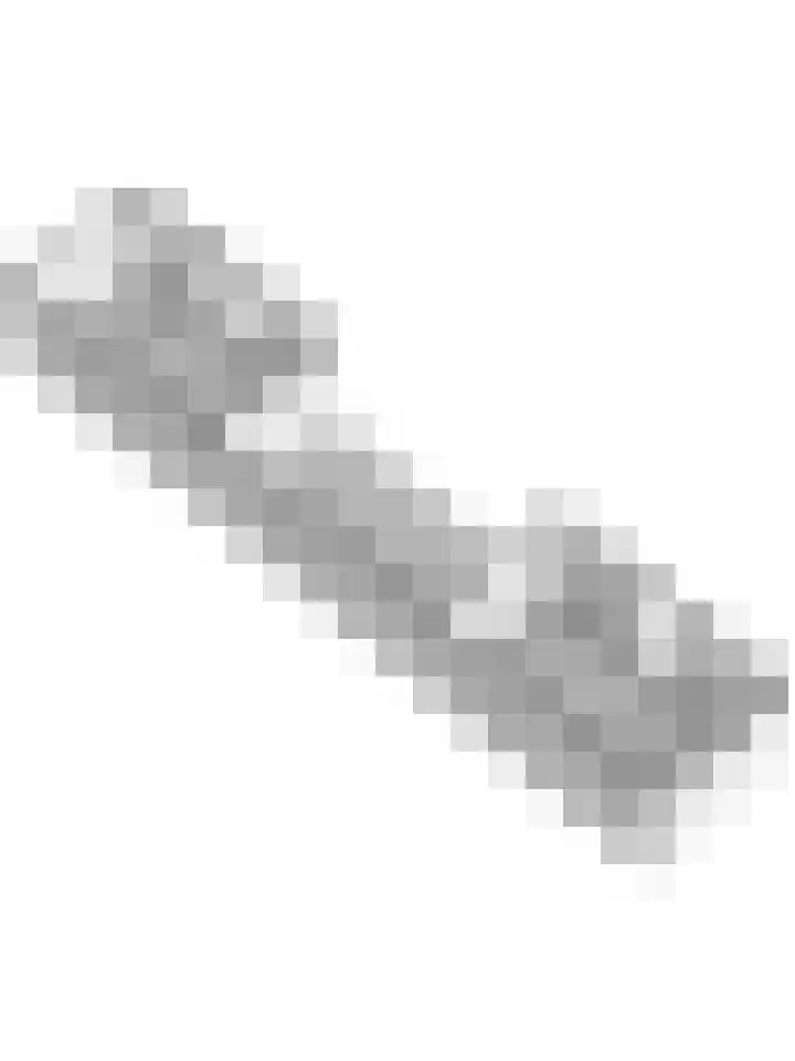 Watervliet 7 Krabbendijke thumbnail 64
