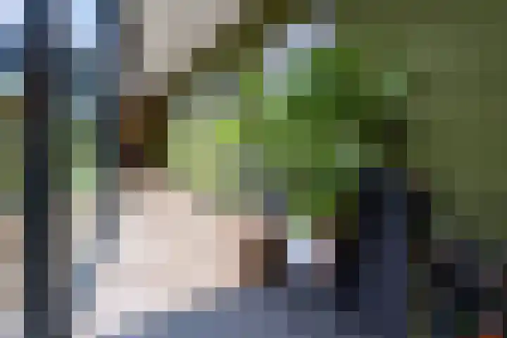 Waterweegbree 26 Breda thumbnail 9