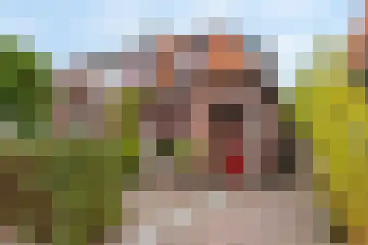 Waterweg 36 De Bilt thumbnail 35