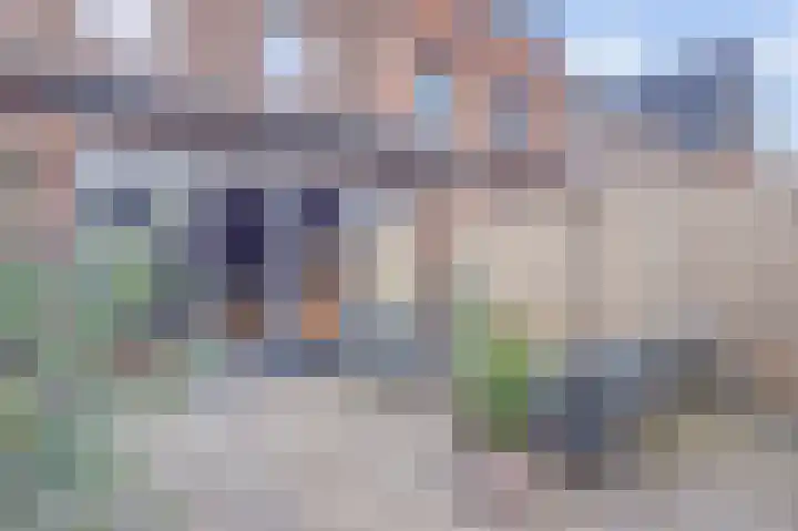 Waterweide 101 Grootebroek thumbnail 18