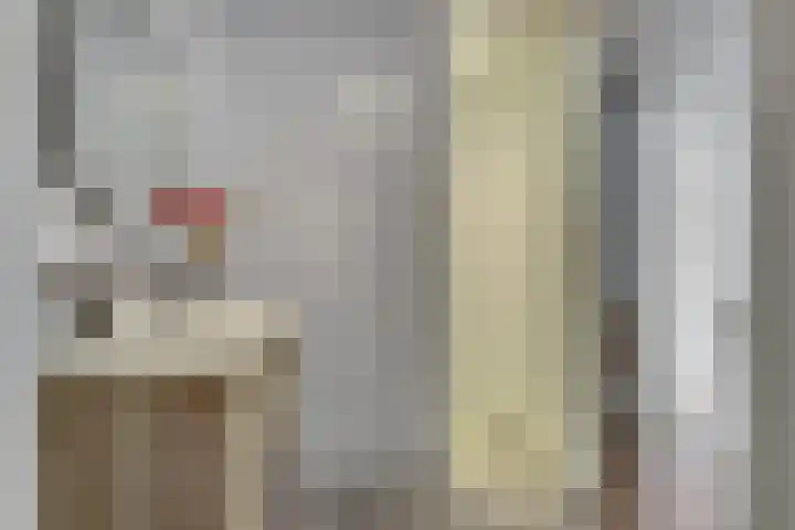 Waterweide 101 Grootebroek thumbnail 29