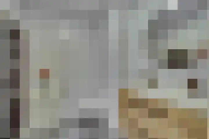 Waterweide 101 Grootebroek thumbnail 32