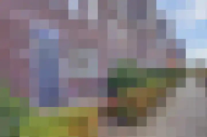Waterweide 101 Grootebroek thumbnail 4