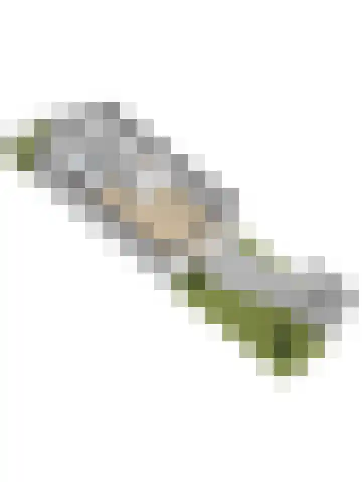 Waterweide 101 Grootebroek thumbnail 50
