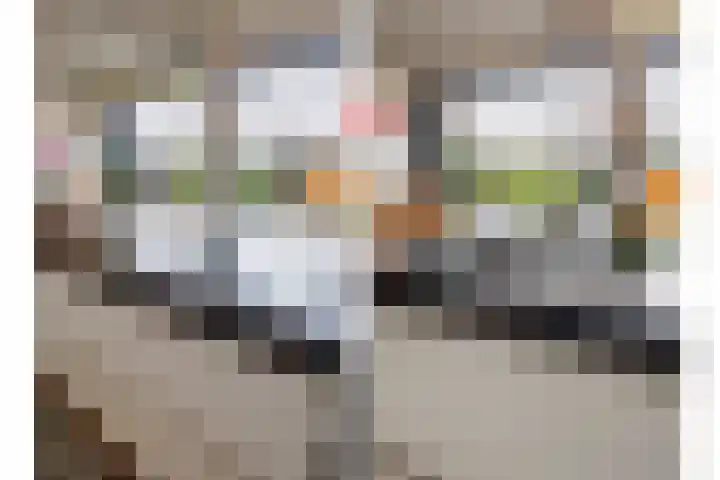 Waterwijk 67 Eindhoven thumbnail 12