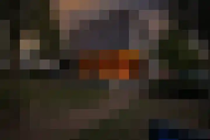 Waterwijk 67 Eindhoven thumbnail 43