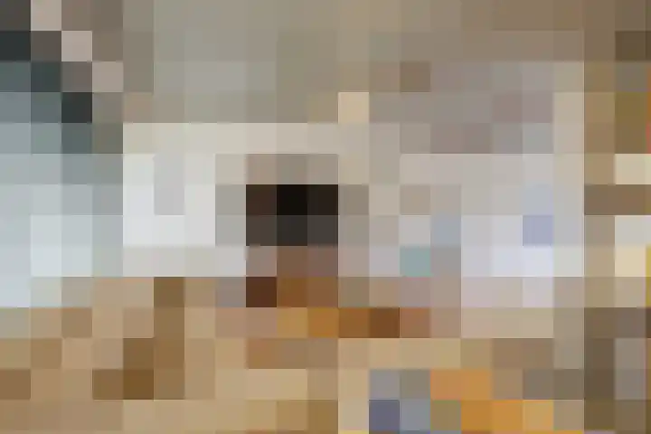 Waterwijk 67 Eindhoven thumbnail 9