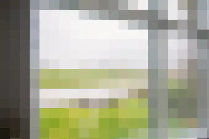 Waubertstrjitte 29 Parrega thumbnail 20