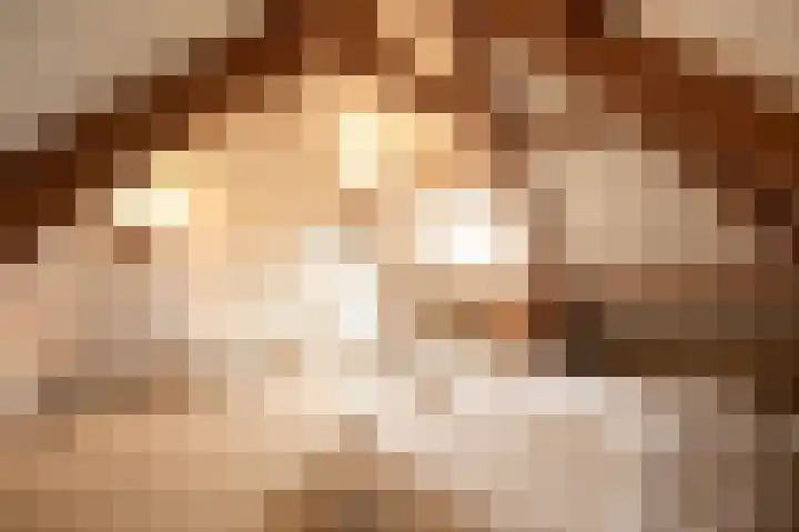 Waubertstrjitte 29 Parrega thumbnail 24