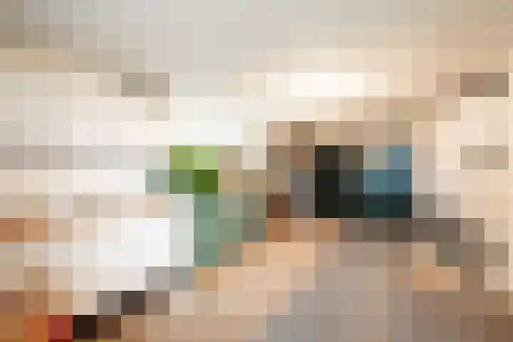 Waubertstrjitte 29 Parrega thumbnail 28