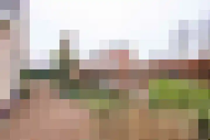 Waubertstrjitte 29 Parrega thumbnail 30