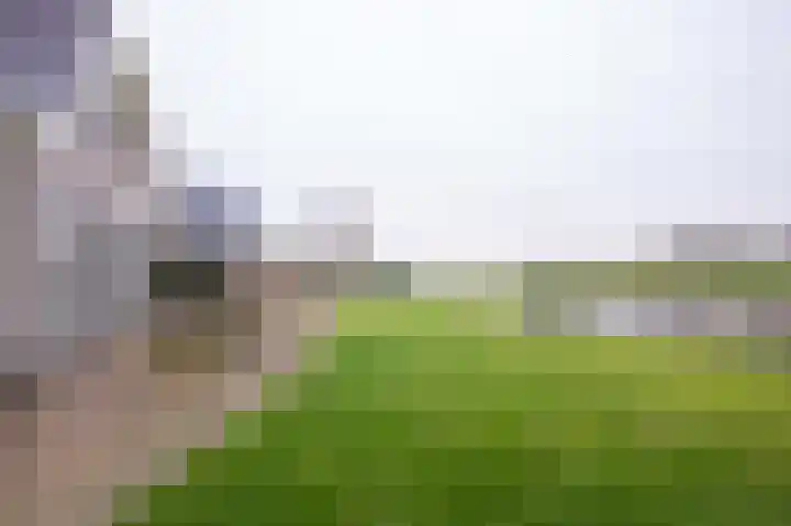 Waubertstrjitte 29 Parrega thumbnail 4