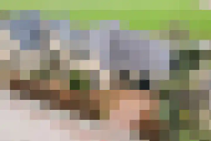 Waubertstrjitte 29 Parrega thumbnail 5