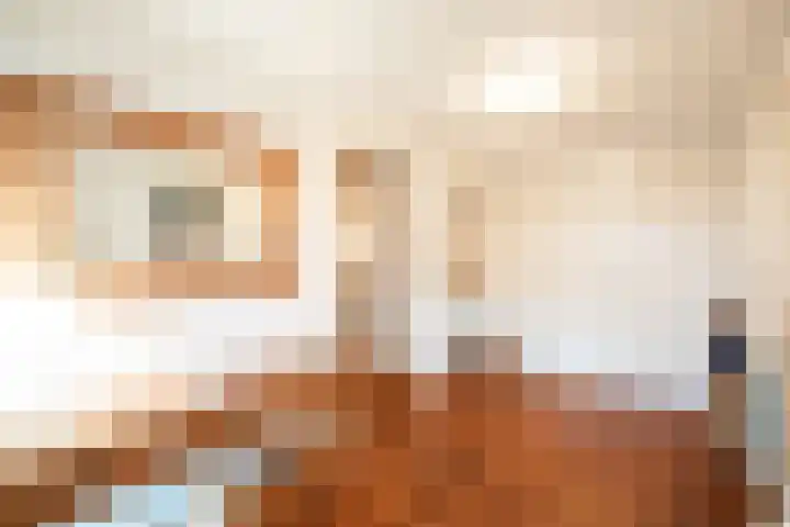 Waubertstrjitte 29 Parrega thumbnail 7