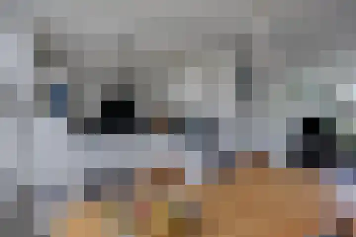 Waver 1 Zwolle thumbnail 11
