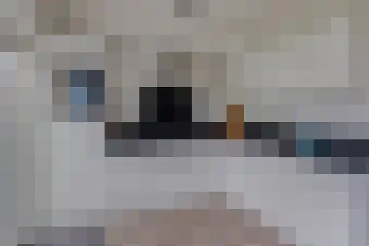 Waver 1 Zwolle thumbnail 12