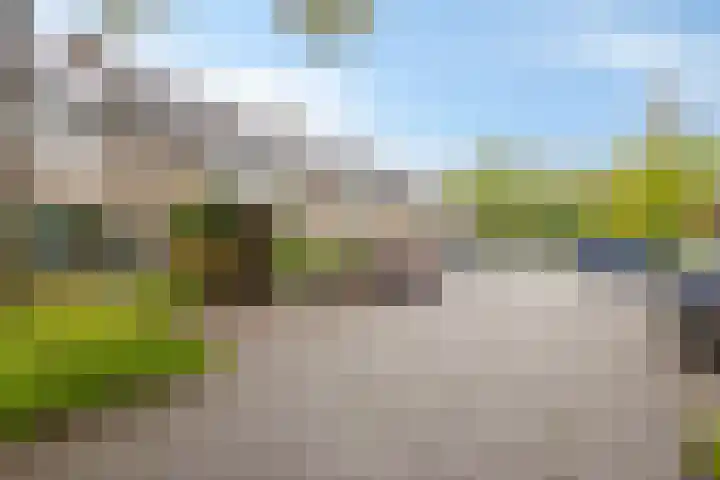 Waver 1 Zwolle thumbnail 4
