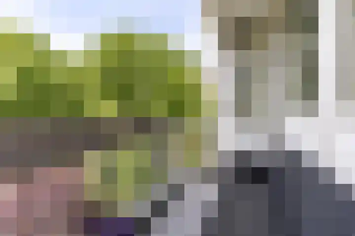 Wedderborg 22 Amsterdam thumbnail 21