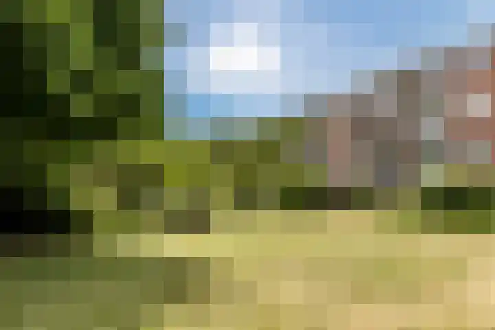 Wedderborg 22 Amsterdam thumbnail 27