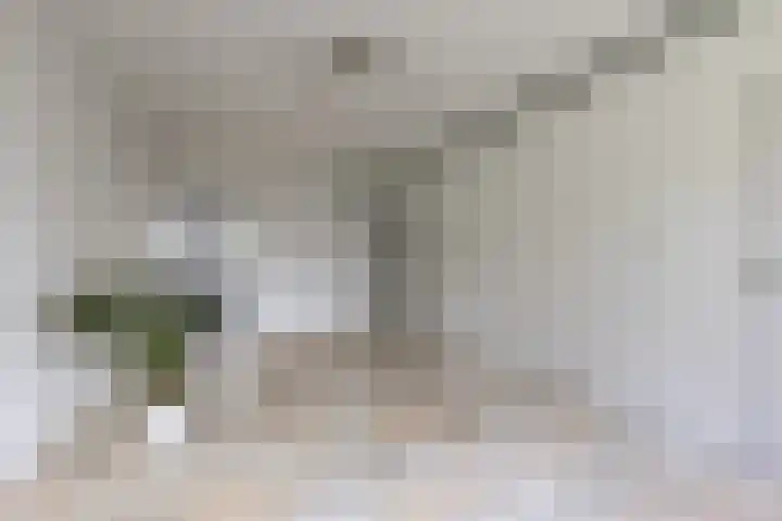 Wedderborg 22 Amsterdam thumbnail 5