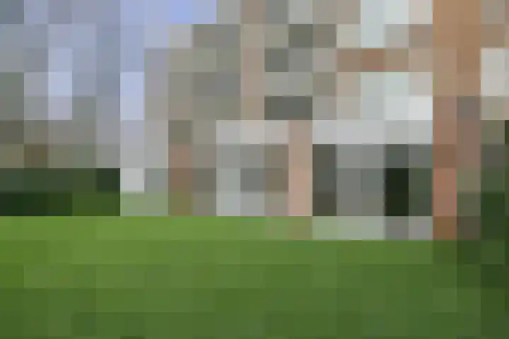 Wedderborg 81 Amsterdam thumbnail 5