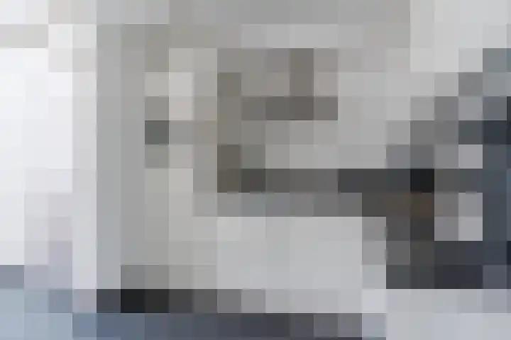 Wede 13 Geldrop thumbnail 18