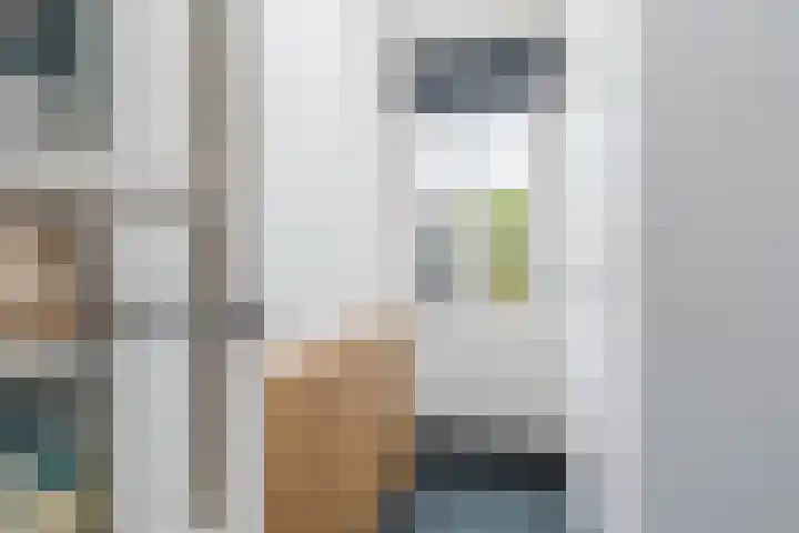 Wede 13 Geldrop thumbnail 21