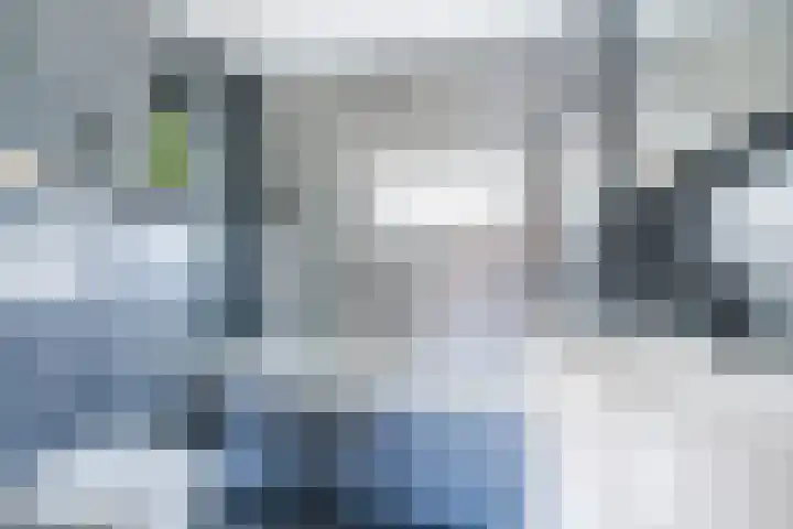 Wede 13 Geldrop thumbnail 27