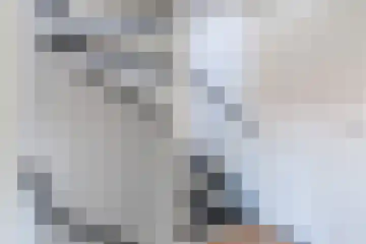 Wede 13 Geldrop thumbnail 28