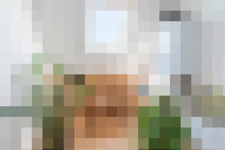 Wede 13 Geldrop thumbnail 29
