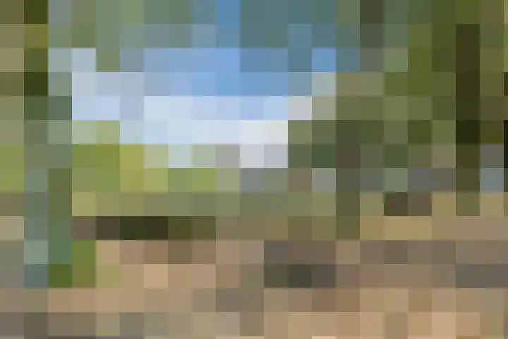 Wede 13 Geldrop thumbnail 38