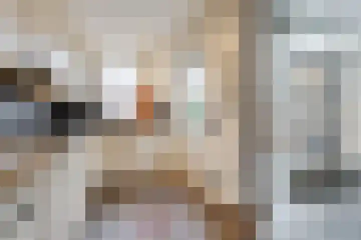 Wede 35 Geldrop thumbnail 14