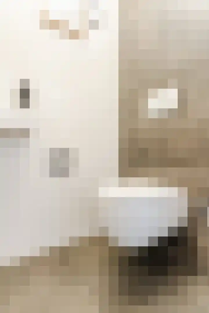 Wede 35 Geldrop thumbnail 17