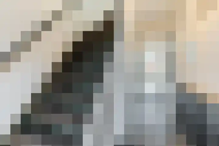 Wede 35 Geldrop thumbnail 18