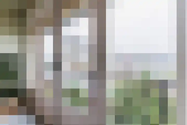 Wede 35 Geldrop thumbnail 22