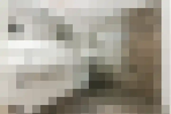 Wede 35 Geldrop thumbnail 27