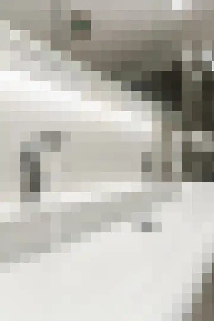 Wede 35 Geldrop thumbnail 29