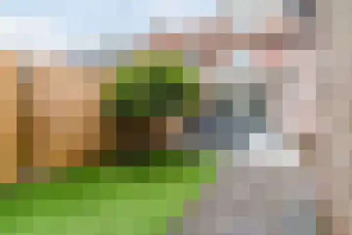 Wede 35 Geldrop foto 3