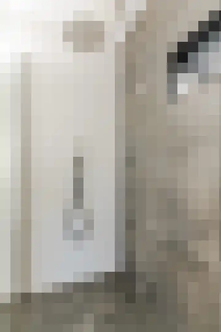 Wede 35 Geldrop thumbnail 30