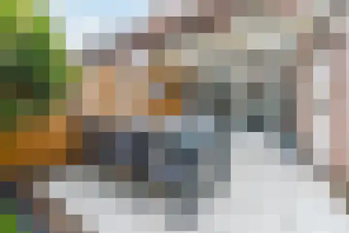 Wede 35 Geldrop thumbnail 40
